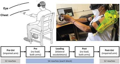Responsiveness to exoskeleton loading during bimanual reaching is associated with corticospinal tract integrity in stroke